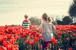 W weekend zachmurzenia i przelotne opady deszczu