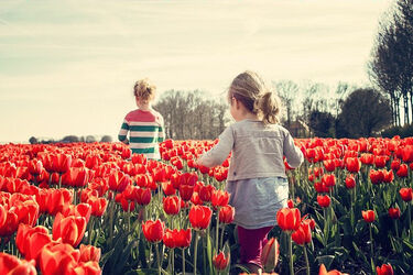 W weekend zachmurzenia i przelotne opady deszczu
