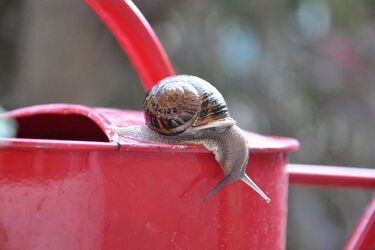 Synoptycy zapowiadają całodzienne opady deszczu