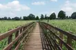 Podlasie w obiektywie. Ogólnopolski Konkurs Fotograficzny przedłużony