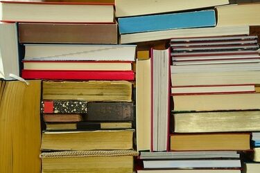 Ciekawa propozycja dla miłośników literatury. To już kolejne Książkobranie