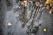 Pożary, wypadki samochodowe i drzewa na drodze. Trudny początek jesieni na Podlasiu