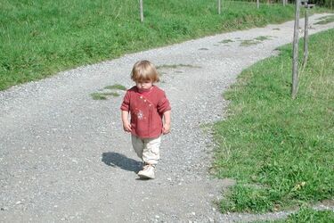 Pomoc społeczna w Podlaskiem. Co GUS ma w tej kwestii do powiedzenia?
