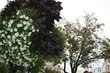 Wzrośnie ciśnienie atmosferyczne i siła wiatru