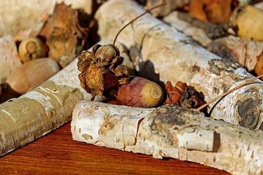 Czeka nas lekkie ocieplenie