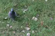 Na czwartek zapowiadane są duże zachmurzenia
