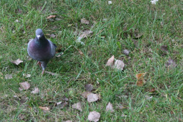 Na czwartek zapowiadane są duże zachmurzenia