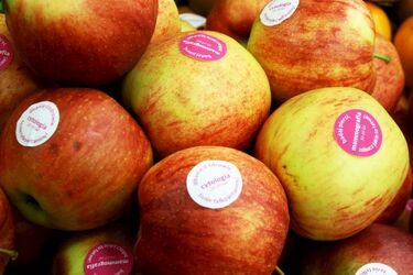 Owocowa profilaktyka na rzecz walki z rakiem