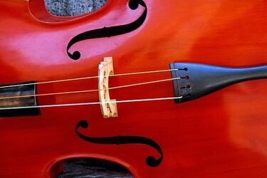 Wygraj zaproszenie na piątkowy koncert przy Podleśnej [KONKURS]