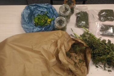 Pokój pełen marihuany w jednym z białostockich mieszkań