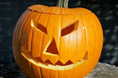 Kultura na weekend. Imprezy na Halloween i dużo więcej [WIDEO]