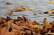 W czwartek spadnie temperatura, będą też silne porywy wiatru
