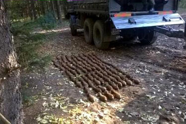 "Pamiątki" po wojnie znalezione w augustowskim lesie. Są niebezpieczne