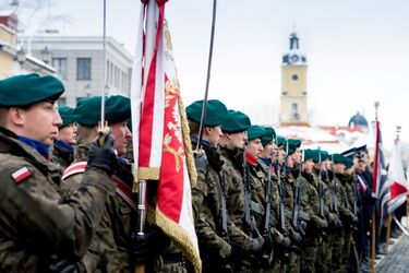Święto Niepodległości. Były przemówienia, salwa i śpiewy