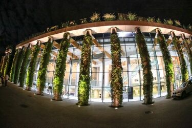 "Zemsta nietoperza" coraz bliżej. Premiera na dużej scenie Opery