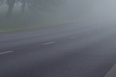 Samochód uderzył w drzewo. Wtedy pojawili się oni 