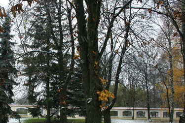 Termometry wskażą średnio 6°C
