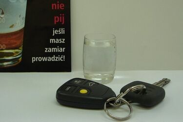 Jeden jechał po pijaku przez problemy rodzinne, drugi ciężarówką wpadł do rowu