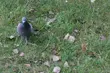 Weekend pochmurny, z temperaturą na minusie