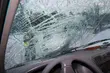 Uwaga na leśne zwierzęta. 3 dziki wpadły jej wprost pod koła
