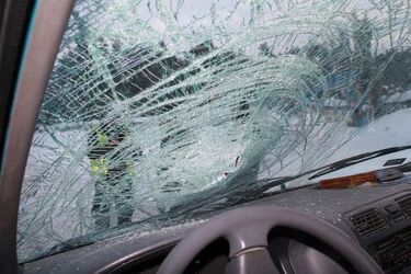 Uwaga na leśne zwierzęta. 3 dziki wpadły jej wprost pod koła