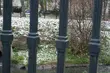 Synoptycy zapowiadają okresowe opady śniegu