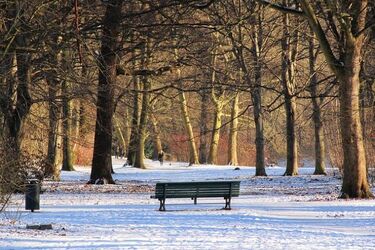 Kleszcze atakują również zimą. W listopadzie na boreliozę zachorowało prawie 200 osób