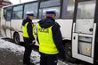 Kierowcy jedli cytryny, bo nieprawidłowo przewozili dzieci