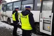 Kierowcy jedli cytryny, bo nieprawidłowo przewozili dzieci