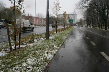 Dalej będzie mokro i ślisko