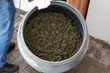 To prawdziwy magazyn narkotykowy. Pierwszy taki przypadek w Polsce [WIDEO]