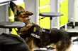 Draniowi wystarczyły 3 minuty. Jędza też szybko sobie poradziła