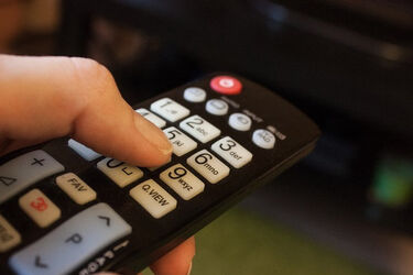 Profesor z białostockiej uczelni będzie ekspertem w TVP