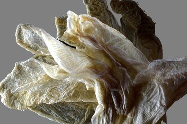 Natura w dużej skali. Zaskakująca wystawa