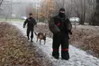 Psy tropiły i obezwładniały w Parku Zwierzynieckim