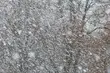 Będzie silny wiatr, może też popadać śnieg
