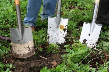 Podlaskie firmy zabiegają o Ukraińców. Obywatele tego kraju coraz częściej u nas pracują