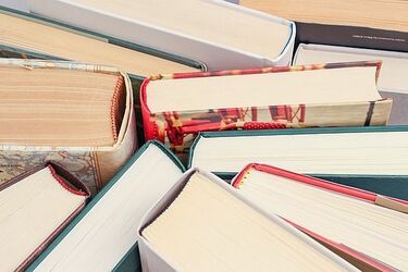 22 tytuły zgłoszone do Nagrody Literackiej im. Kazaneckiego. Kto ją dostanie?