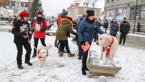 Jedyny taki Finał. Wielka Orkiestra z jubileuszem [ZDJĘCIA]