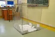 Komitet referendalny: Niska frekwencja to być może skutek zaniedbań