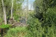 RDOŚ w Białymstoku: rozbiórki tam bobrowych to pozytywne działania