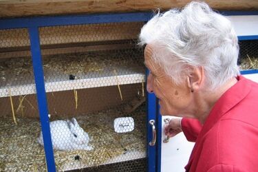 Zadłużone jest życie staruszka. Jednak podlascy seniorzy mają najmniej do oddania