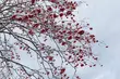 Z każdą godziną temperatura będzie spadać