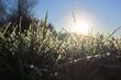 Czekają nas przejaśnienia, ale i duży spadek temperatury