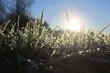 Czekają nas przejaśnienia, ale i duży spadek temperatury