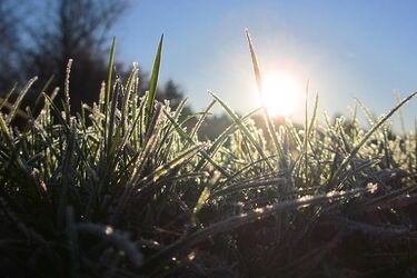 Czekają nas przejaśnienia, ale i duży spadek temperatury