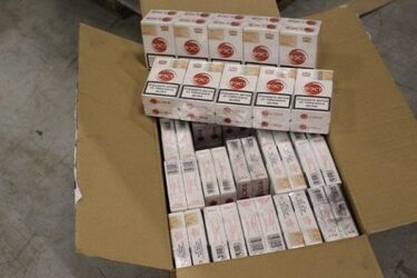 Labradorka Loca wspierała celników. Wykryli przemyt za ponad pół mln zł