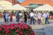 Blisko 640 tys. zł na kulturę. Dotacje zostały przyznane