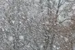 W weekend może popadać śnieg