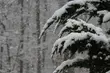 Temperatura mocno na minusie